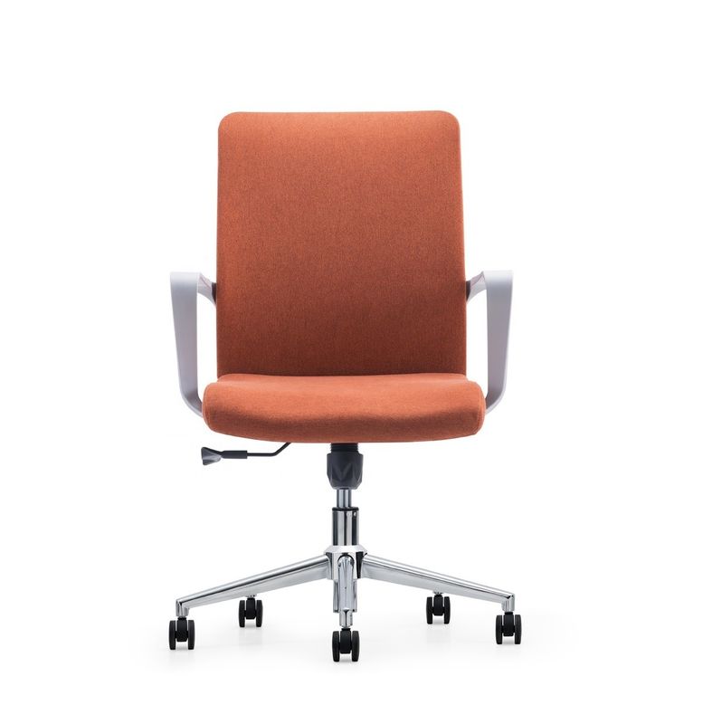 Modern Leisure Mesh Chair con supporto per il dorso e spedizione gratuita