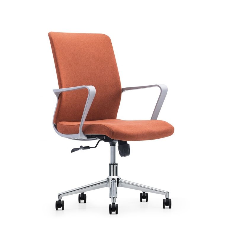 Modern Leisure Mesh Chair con supporto per il dorso e spedizione gratuita